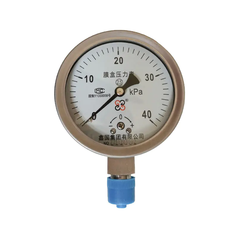 Manometr z membraną XG/YE-100, serii 150