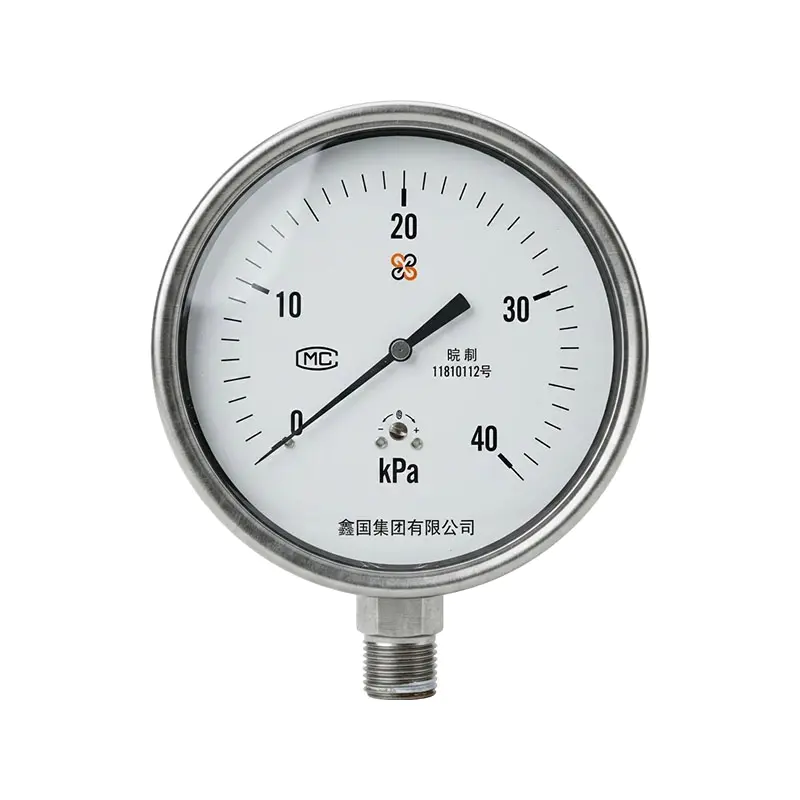 Manometr z membraną XG/YE-100B ze stali nierdzewnej
